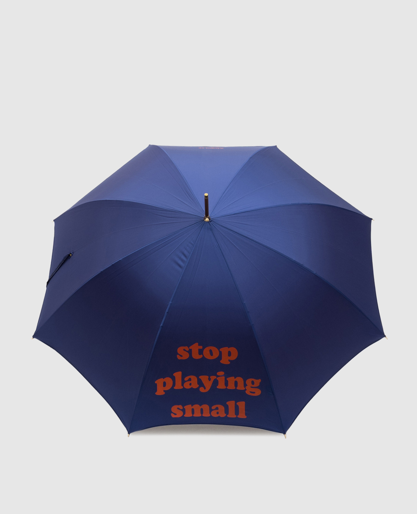 Blue umbrella-cane Pasotti
Blue umbrella-cane Pasotti