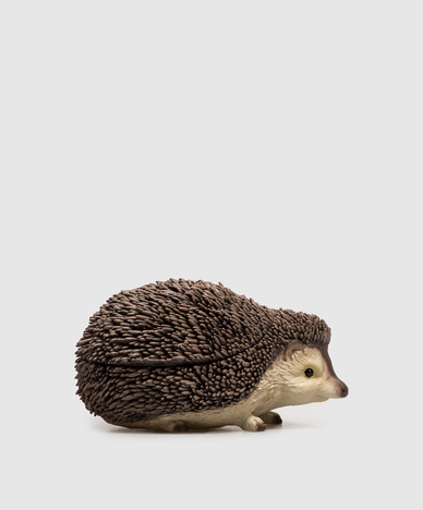 Brown hedgehog clutch