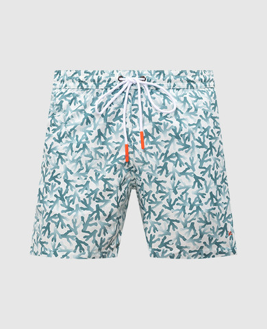 ISAIA