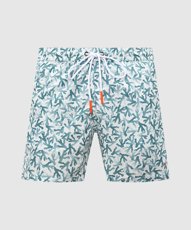 ISAIA