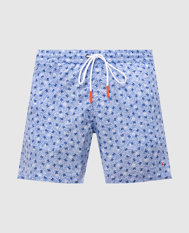 ISAIA
