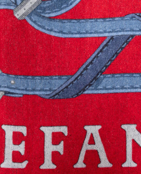 Stefano Ricci Red terry towel with branded print YTELM03SPBELTS