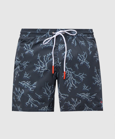 ISAIA
