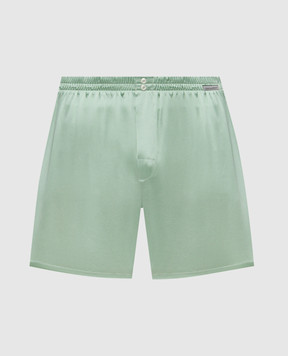 Dolce&Gabbana Green silk boxer briefs M3A12TON0EC