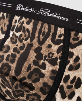 Dolce&Gabbana Brown animal print boxer briefs M4C17JONR61