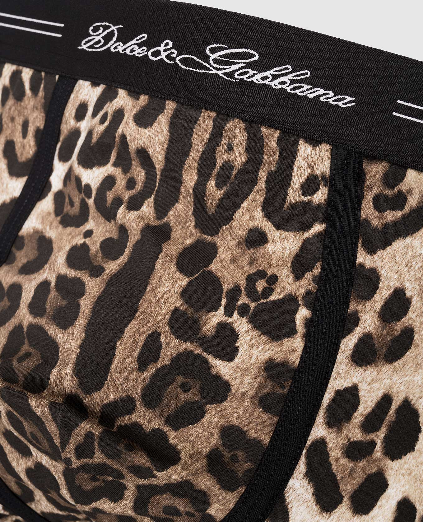 

Brown animal print boxer briefs Dolce&Gabbana