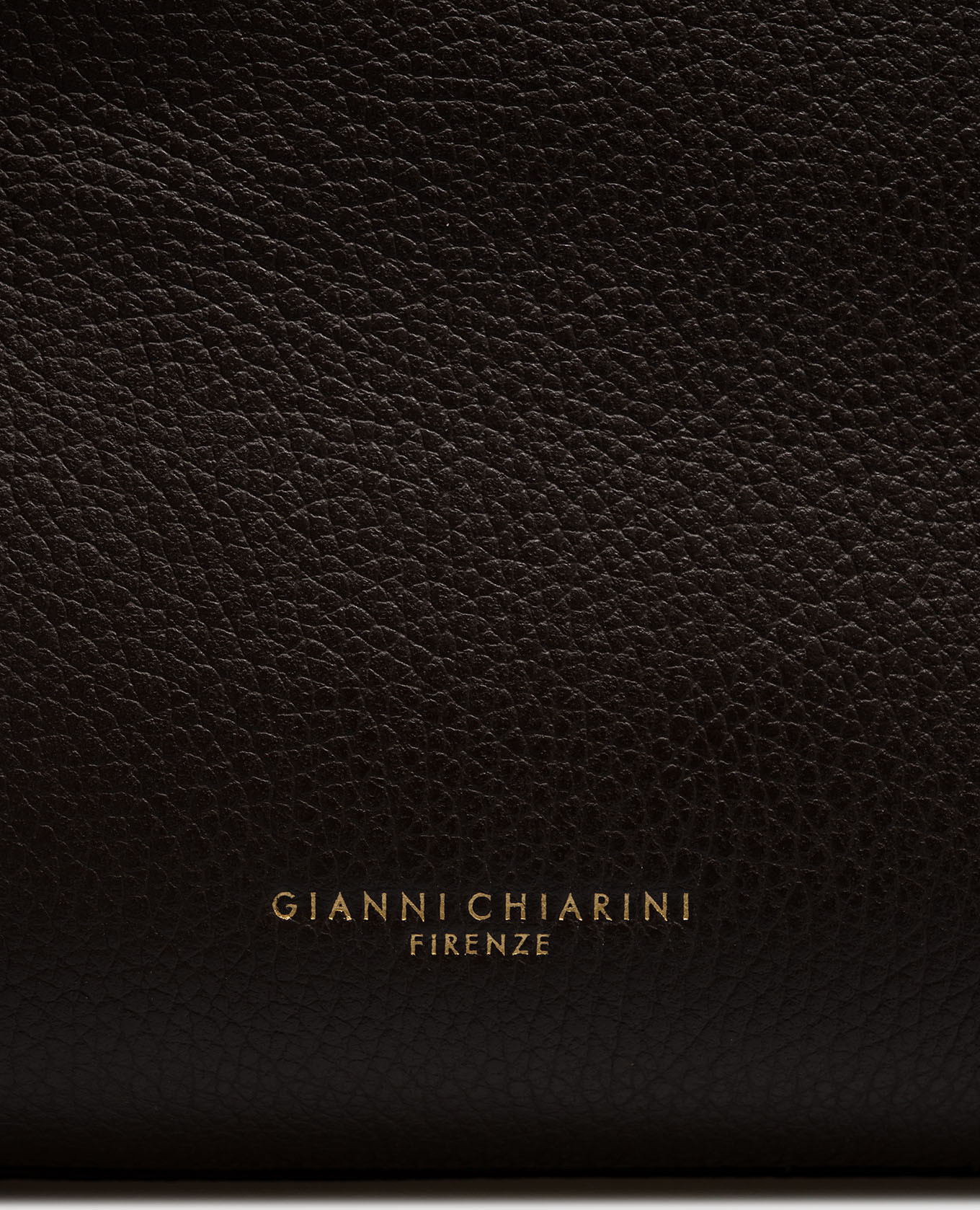 Brown leather tote bag TERRY Gianni Chiarini 4