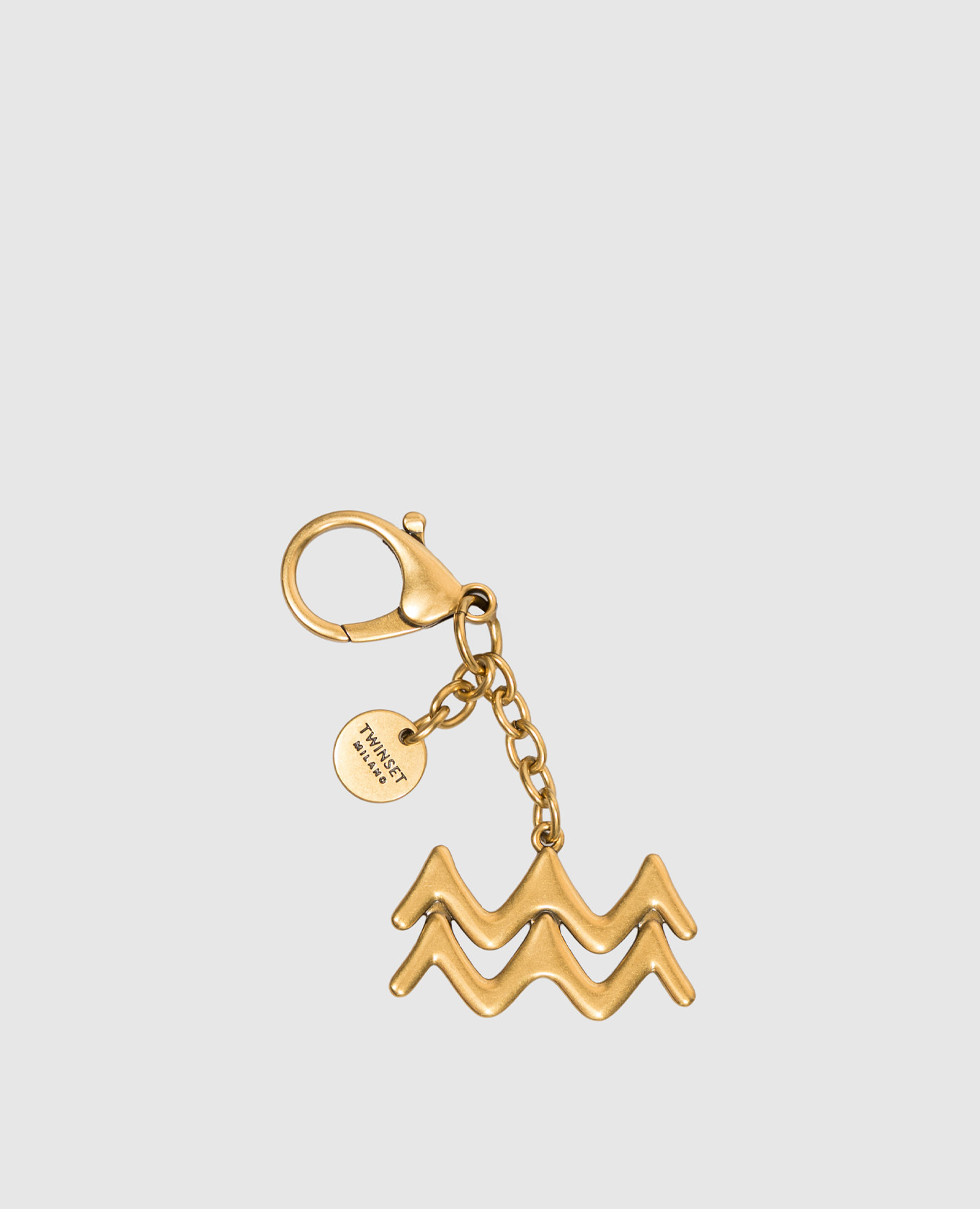 Golden Aquarius keychain
