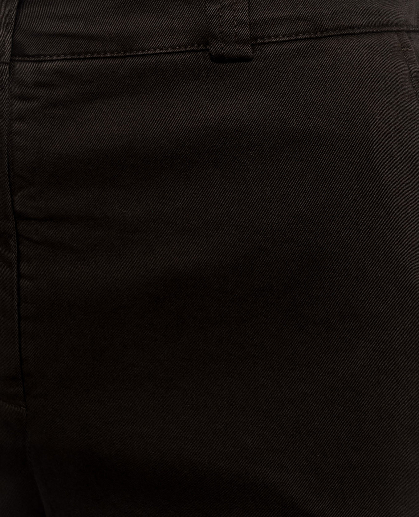 

Brown pants Peserico