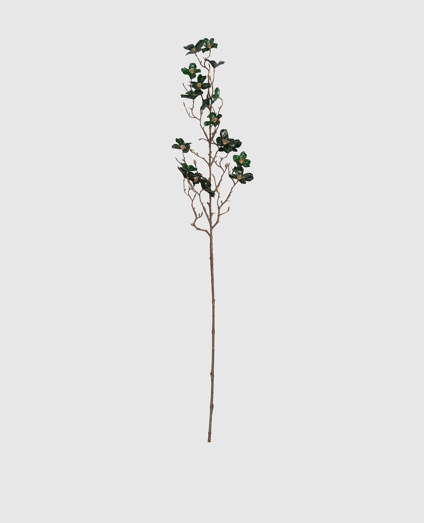 

Decorative branch of dogwood EDG, Green