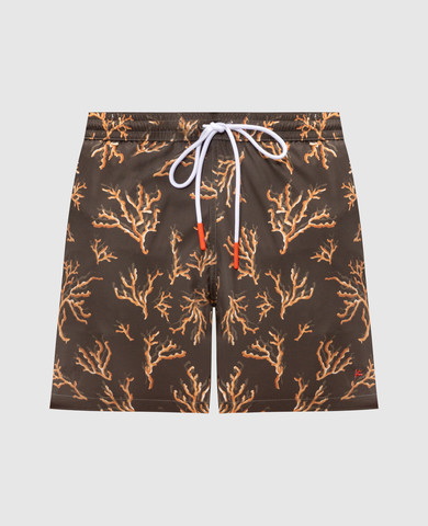 ISAIA