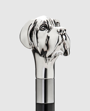 Pasotti Silver Labrador Retriever PFPEXXCSF09