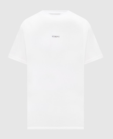 Iceberg