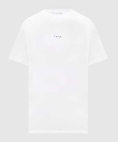 Iceberg