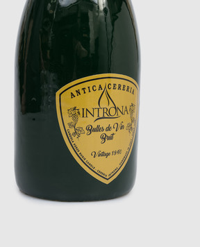 Cereria Introna Bottle-shaped Bulles de Vin candle 2200