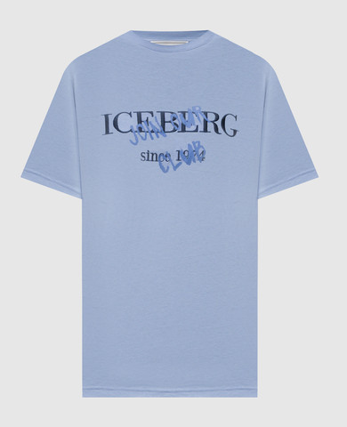 Iceberg