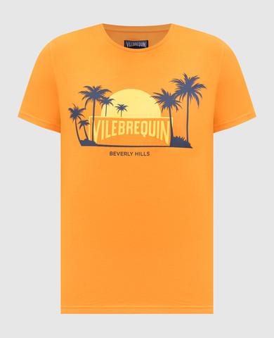 Vilebrequin