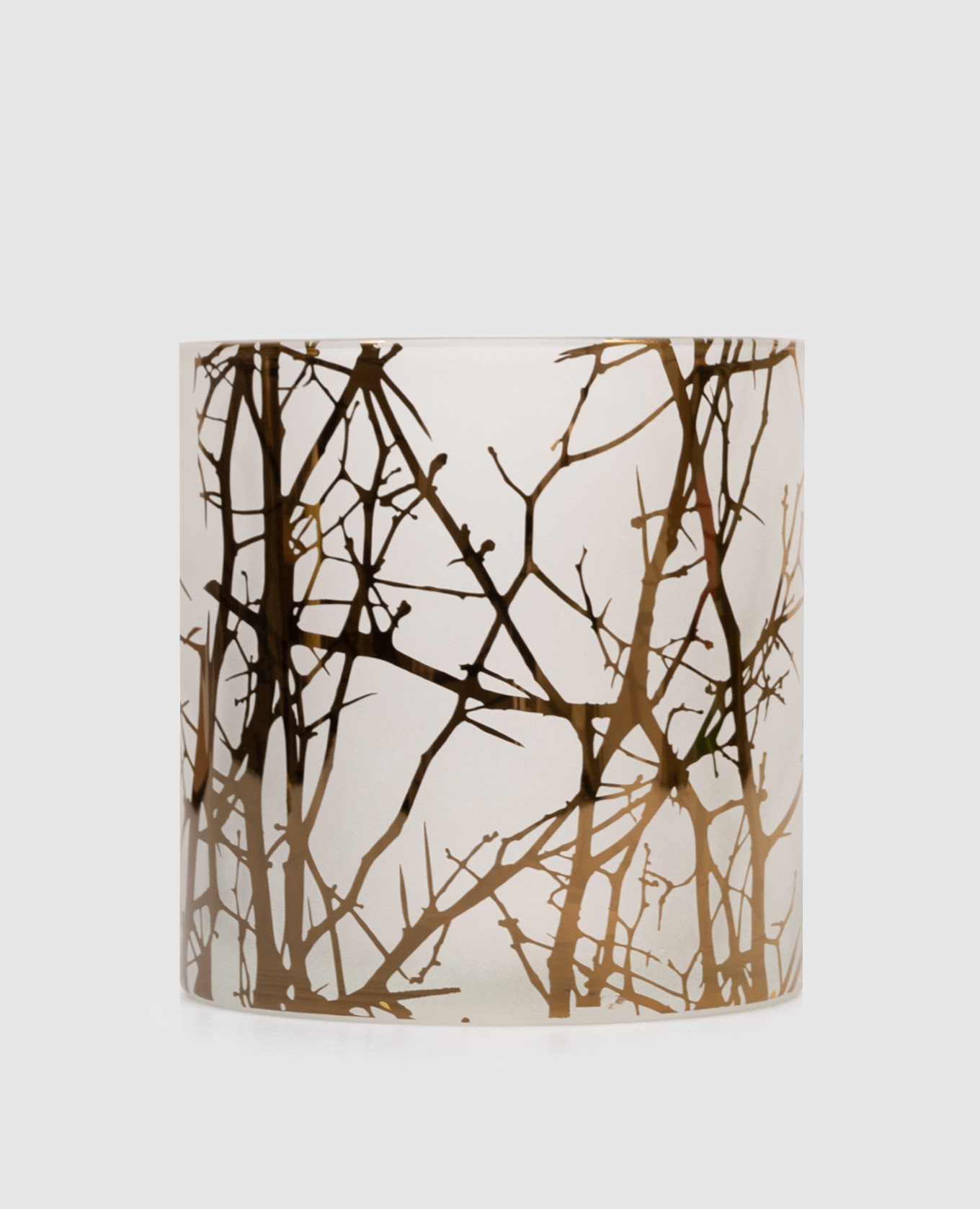 

White candlestick FOREST Philippi