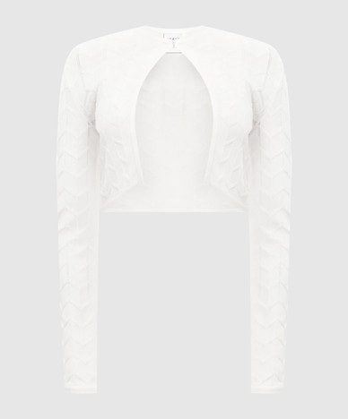 Herve Leger