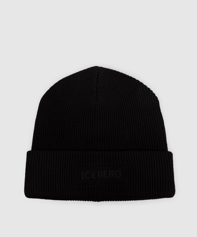 Iceberg