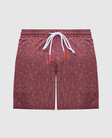 ISAIA