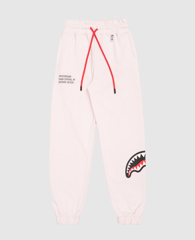 Sprayground