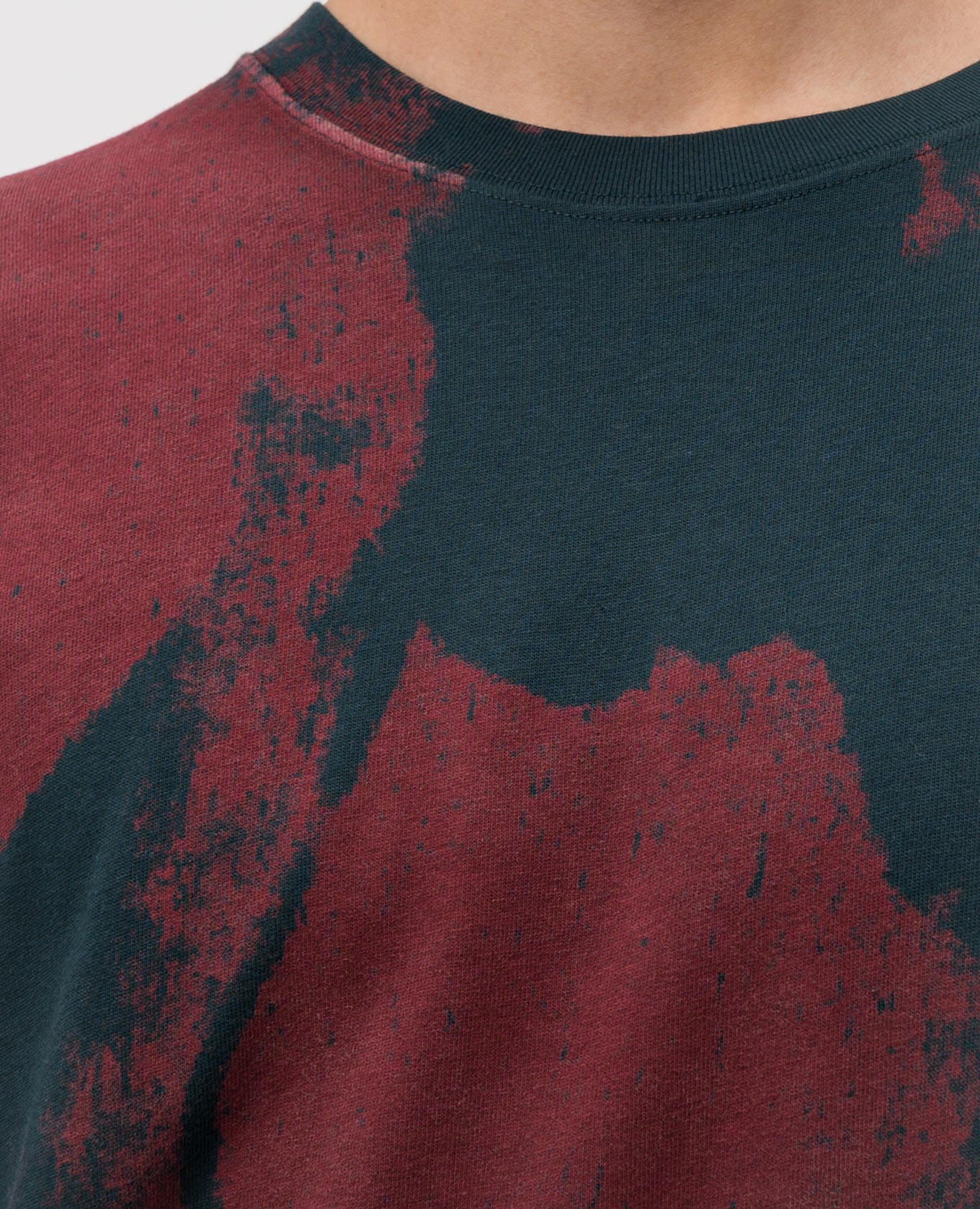 Blue printed T-shirt Alexander McQueen 5
