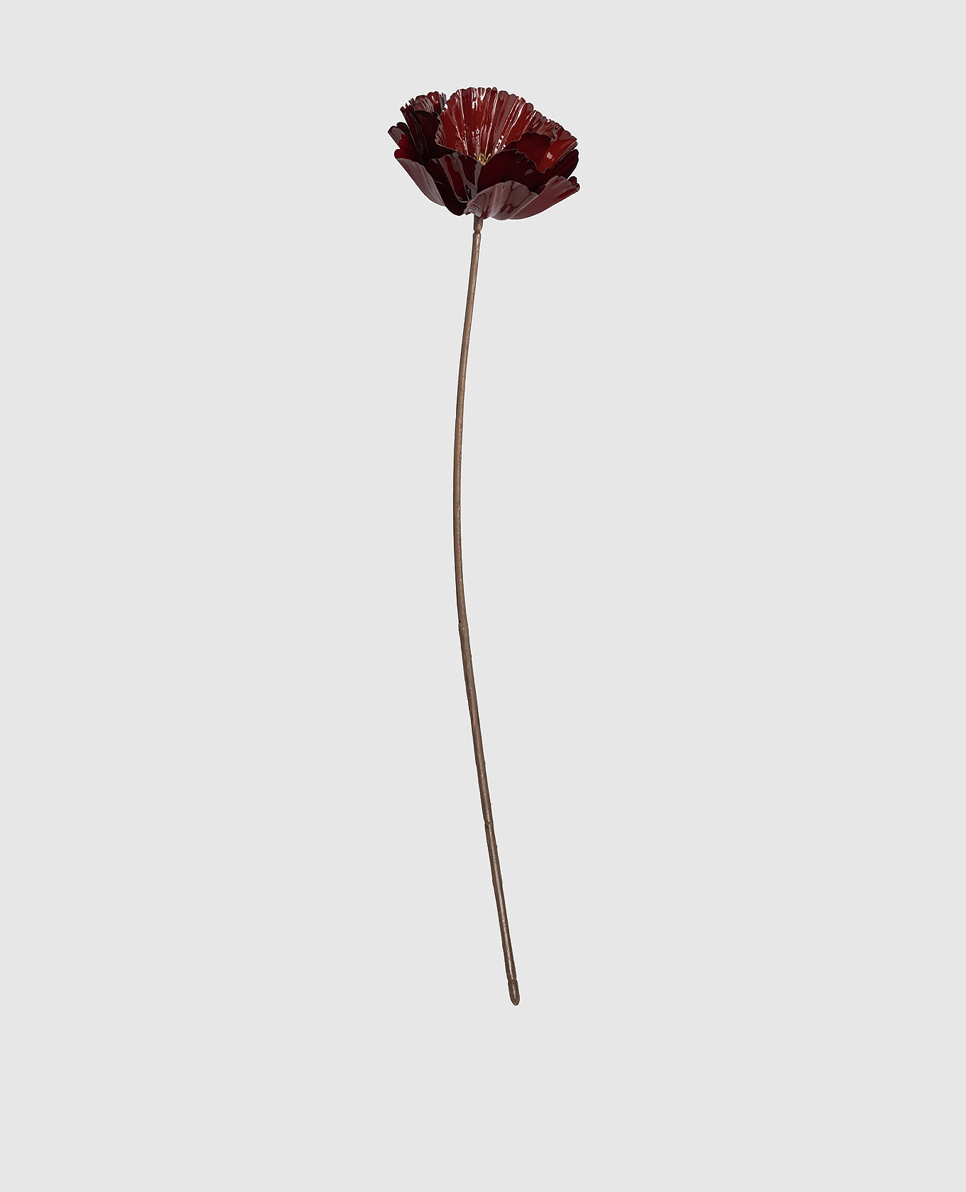 

Decorative poppy flower EDG, Burgundy