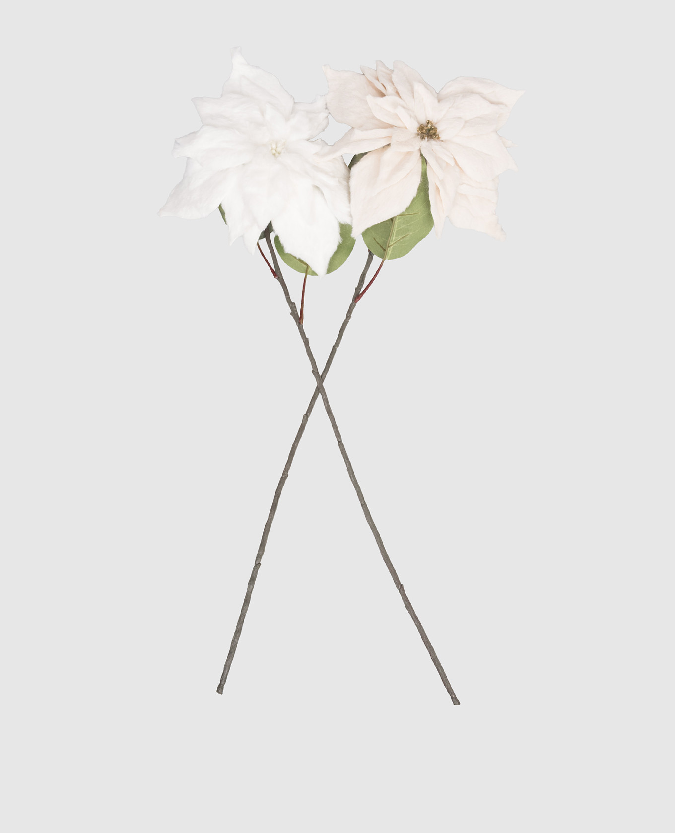 

Set of decorative Poinsettia flowers EDG, Green