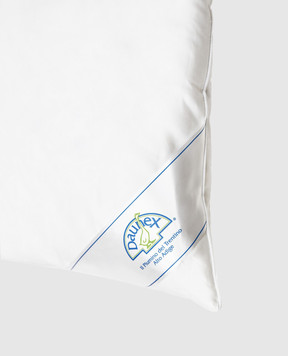 Daunex White down three-chamber pillow Soffio SOFFIO50x703CAMERE